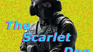 R6S、目指すはプラチナ