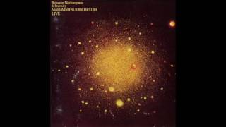 Mahavishnu Orchestra ‎– Between Nothingness &amp; Eternity - dream 1973
