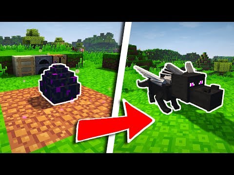 HOW TO HATCH THE DRAGON EGG IN MINECRAFT!