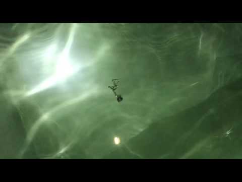 Alternate Ending Deleted Scene - Titanic