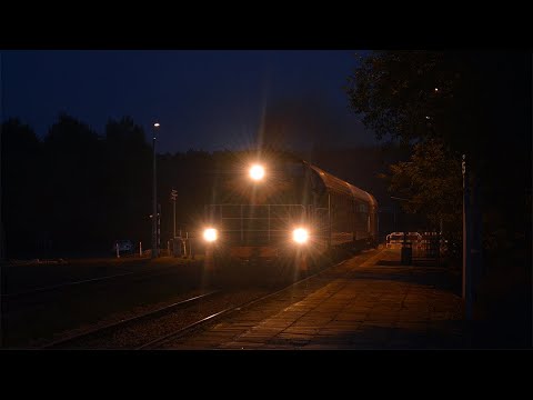 Wieczorny Turkol w Zwierzyńcu.