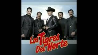 La sorpresa (Los tigres del norte)