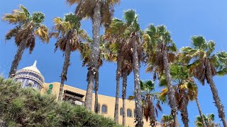 Gran Canaria Playa del Ingles Bahia Feliz Weather 05.08.2019 4K