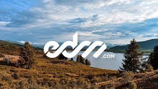 Daspen - Love Me Back (feat. Enya Angel)