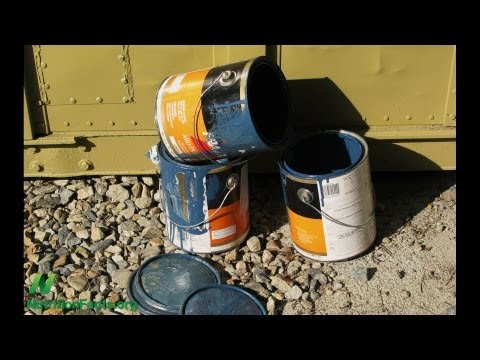 Amla vs Cancer Cell Growth