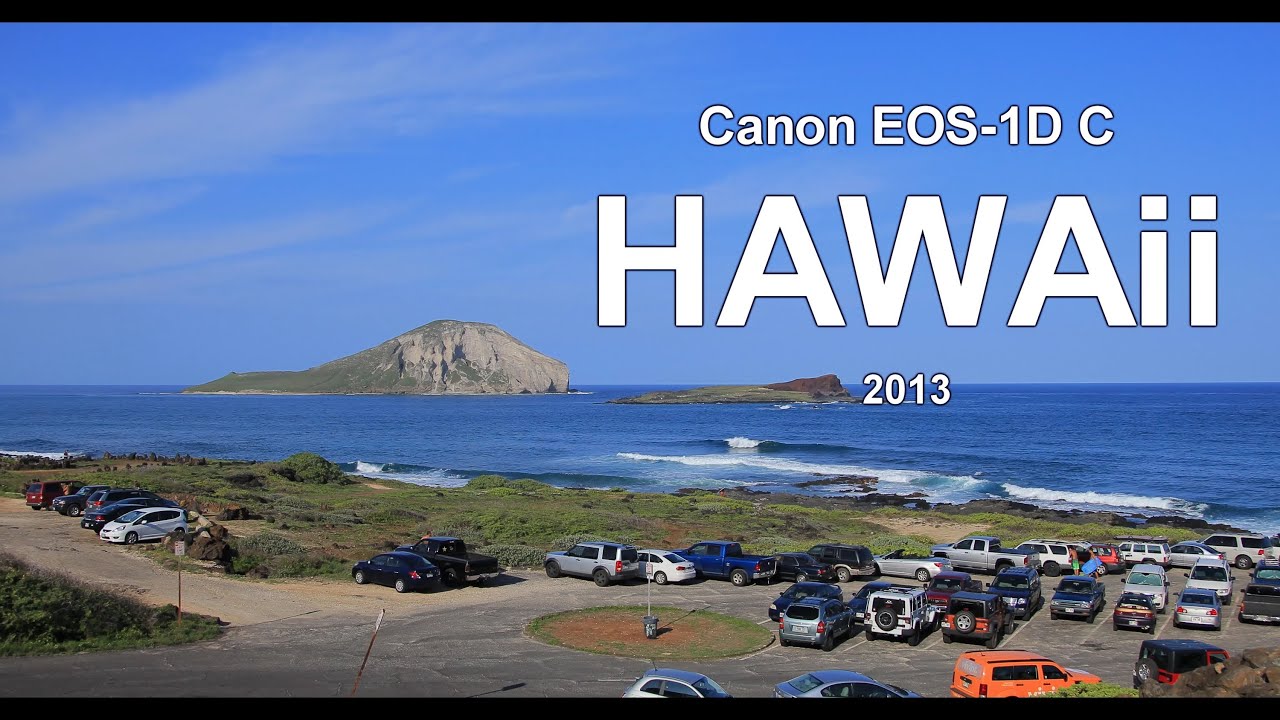 Зеркальный фотоаппарат Canon EOS 1D C Body (