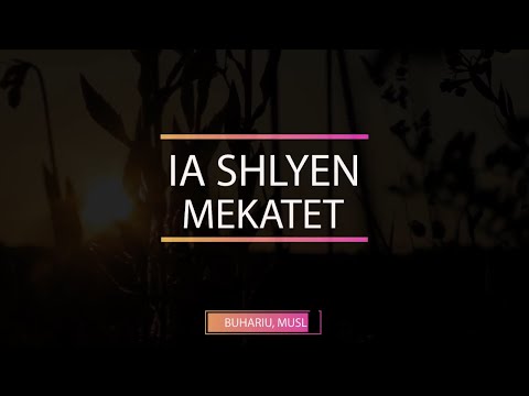 Cdo gjë që e godet besimtarin është shkak për faljen e mëkateve!