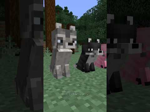 NEW FOX VARIANTS? #minecraft #minecraftbeauty #minecraftguide