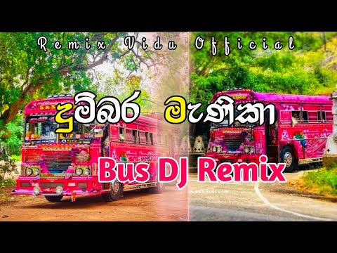 දුම්බර මැණිකා Bus DJ Remix || 🎧🍌 Dumbara Manika Bus DJ Remix 🍌🎧 || @REMIX_VIDU_OFFICIAL