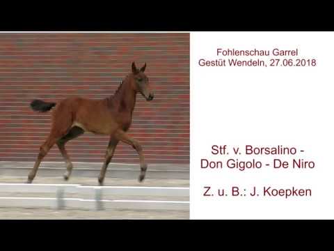 Stf v Borsalino x Don Gigolo x De Niro_2018