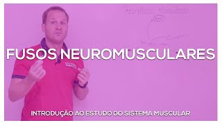 Fusos Neuromusculares