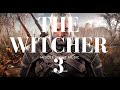 THE WITCHER 3 ZAKLÍNAČ 3 Divoký Hon CIRI JE POHROMA Topinka Witchergame Games 14