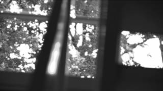 Stay in the shade by Jose Gonzalez (music video)