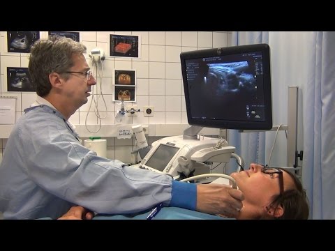 Schilddrüse: Kleines Organ mit großer Wirkung