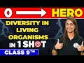 DIVERSITY IN LIVING ORGANISMS In One Shot From Zero To Hero Class 9th