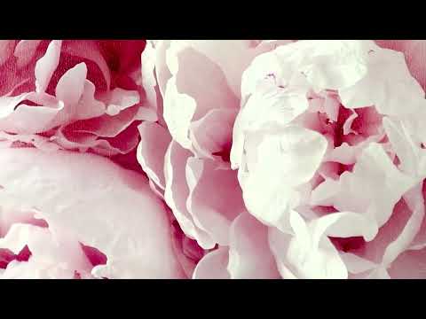 Миниатюра изображения товара Картина Декарт Нежные пионы 8Л2992 (в раме)