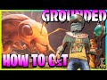 GROUNDED Last Update - How To Get The Red Ant Queen Armor And Scepter - All 3 Food Recipes Guide!