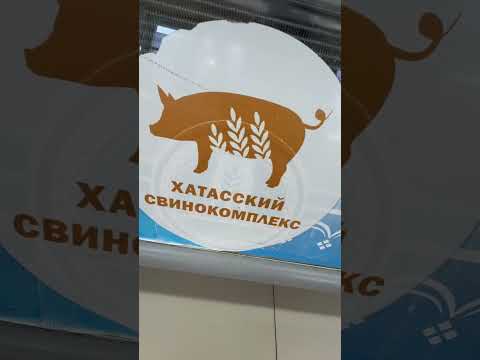 🥩 Рынок мяса: Цены – огонь! 🔥 Или всё-таки нет? 🤔 #ценынапродукты  #еда #покупки  #фудблог #рынок