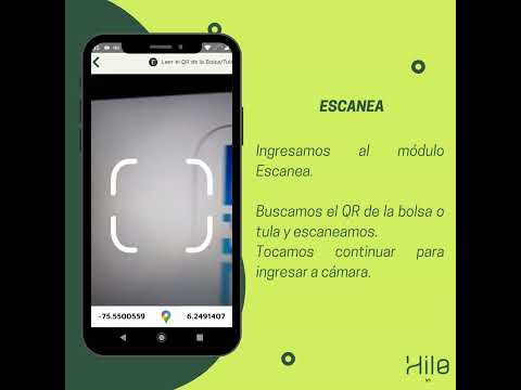 Hilo Experts