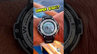 I Took a $50 Casio on a Cruise… Here’s What Happened
