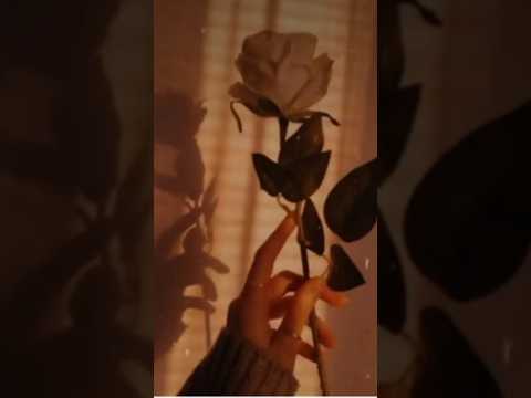 flowers #love #music #trending #short video