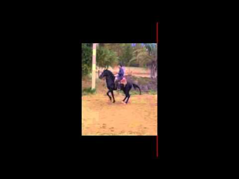 Matias Rubio (El Chino)