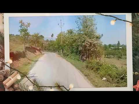 𝒯𝒶𝓌𝒻ℯℯ𝓆