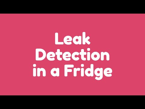 Leak Detection in a Fridge {And Repair}