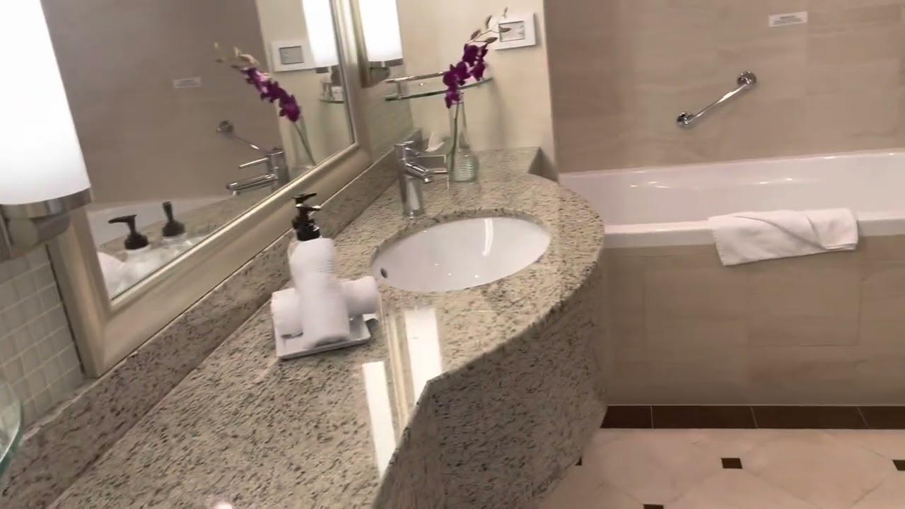 Sky Princess - Cabin E728 - Video 1