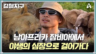 [影音] 251128 Channel A 鋼鐵地球 E56