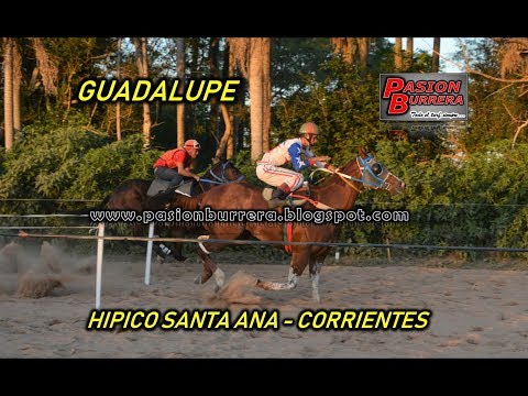 Guadalupe, Santa Ana (20-06-18)