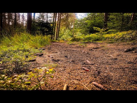 Natursteig Sieg Etappe 8 - Schladern bis Au