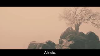 Nick Cave - Hallelujah (legendado)