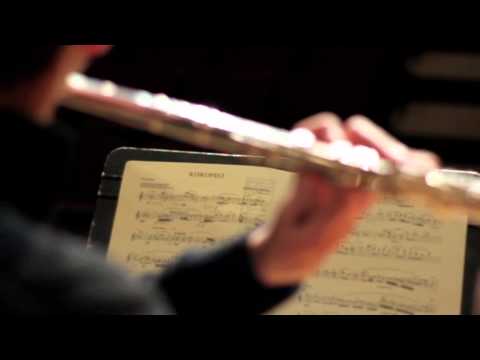 Joshua Weinberg - Minnesota Varsity (YourClassical MPR)