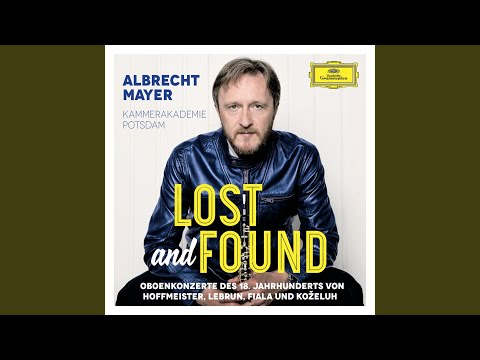 Lebrun: Concerto for Oboe and Orchestra No. 2 in G Minor: I. Allegro