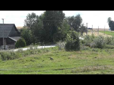 Kamil Sakłak - Fiat 125p - Wyścig Baj 2012 Brzeziny