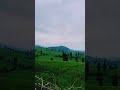 iran or switzerland ❤️🤍💚اینجا کجاست ؟ 🔥 سفر ایران ایرانگردی مسافرت کمپ طبیعت کمپر