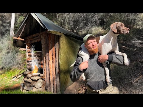 2 DAYS Solo Hunt & Survival with my Dog (NO FOOD, NO WATER) Catch and Cook