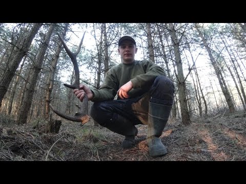 Dziesiątak 0,90kg - Zrzut Jelenia | Zrzuty 2020  | 17.03.2020