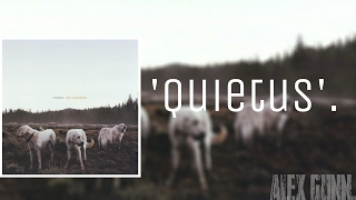 'Quietus' - Foxing | Subtitulado al español.