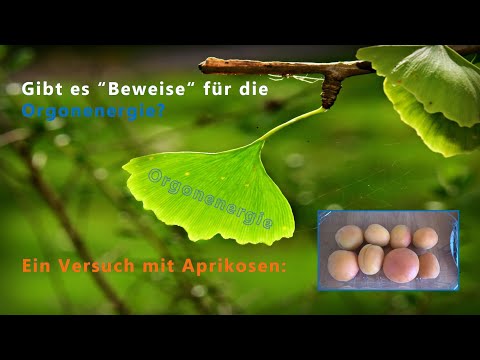 Orgonenergie sehen und nachweisen