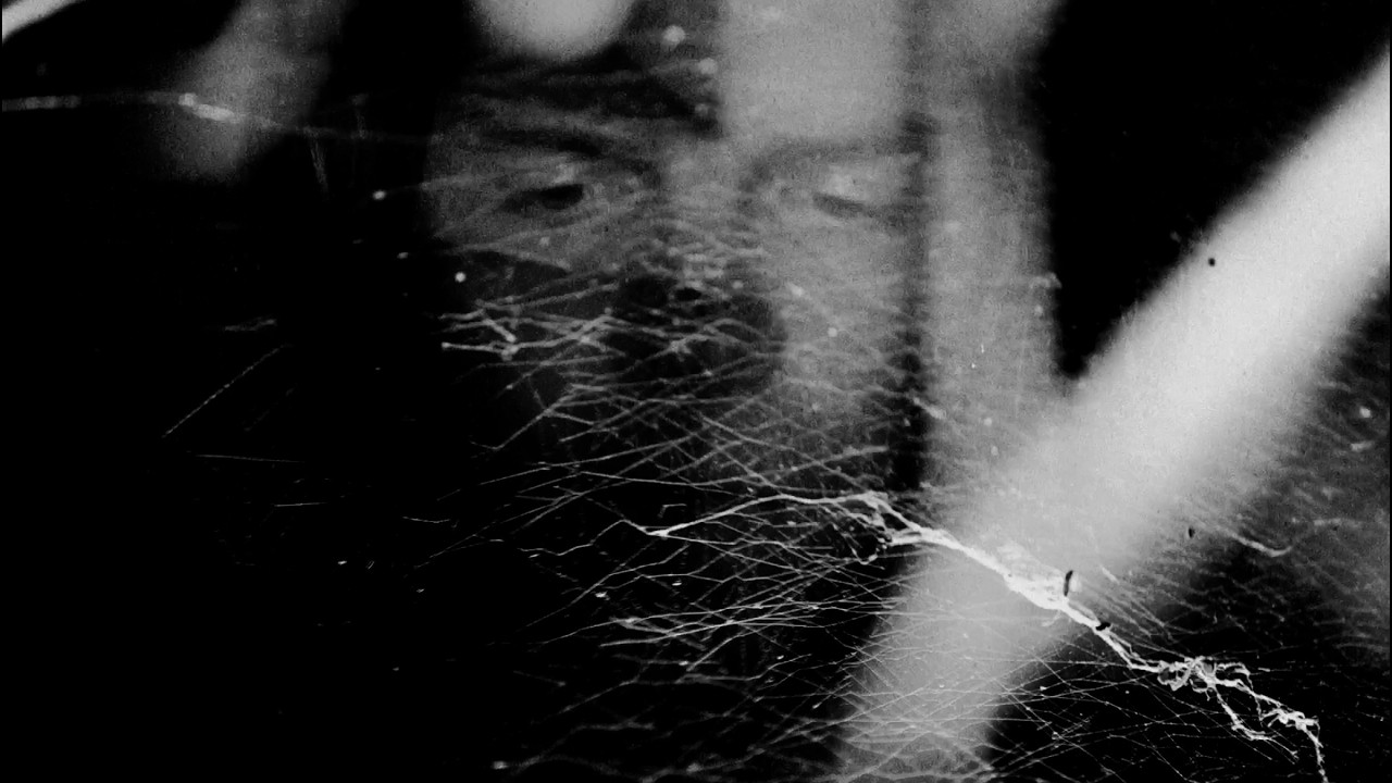 TIGERCUB - A BLACK MOON (Official Music Video) - YouTube