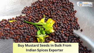 Buy Mustard Seeds In Bulk From Indian Spices Exporter - Vyom Overseas