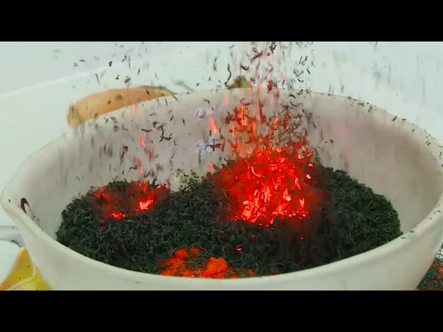 Билет в будущее