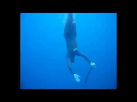 MONSTER!! Conger fish - Spearfishing