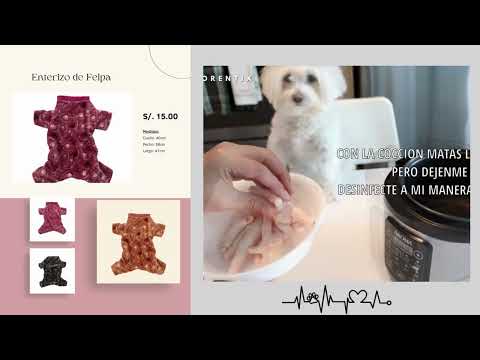 Pitch Fashion and Dessert Canina