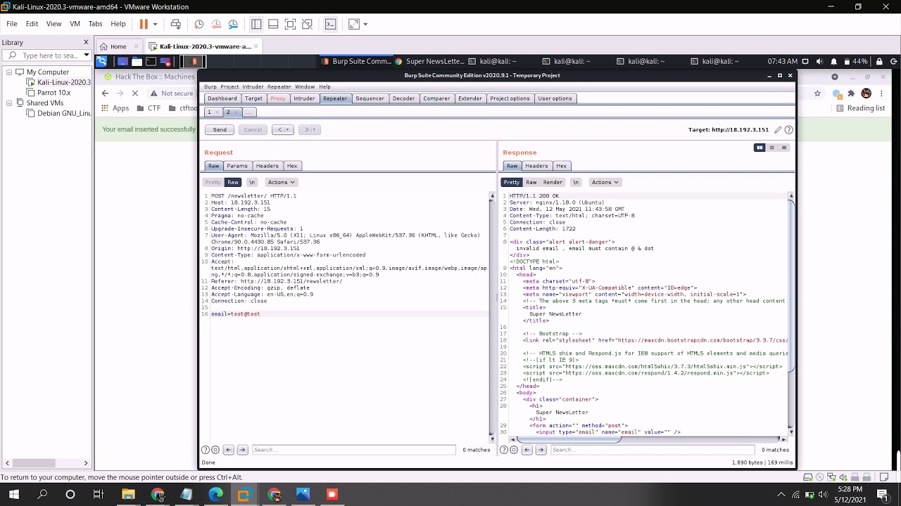 Newsletter walkthrough | cybertalents | writeups | solution