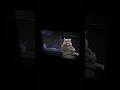 Sesame Street Episode 2253 Ending