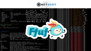 Download the video "[Hacker's toolkit] Fuzzing with FFuF: enumerating URLs and Requests"