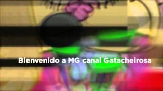 Mi canal. de nada  Gatacheirosa mg
